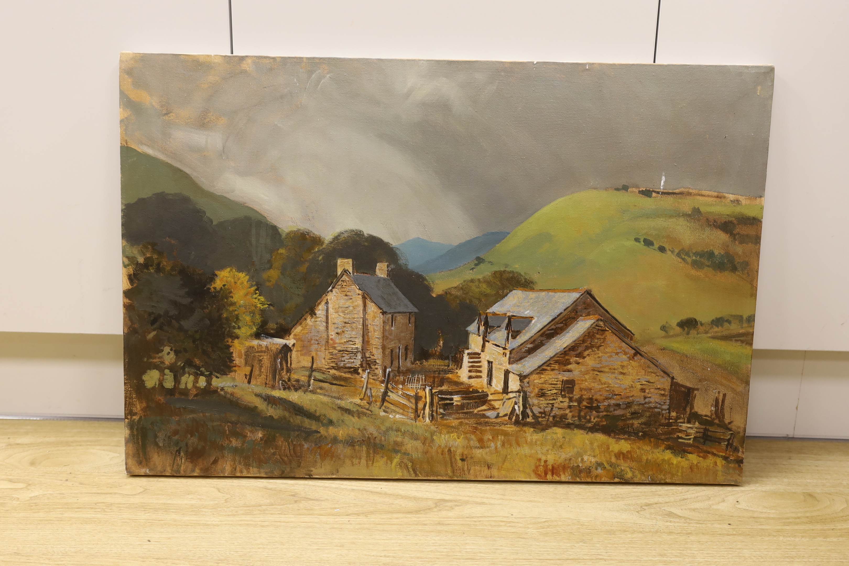 Welsh School, oil on canvas, Mountainous landscape with cottages, unframed, unsigned, 51 x 75cm